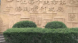 【景觀雕塑廠家】制作，多少錢(qián)，價(jià)格